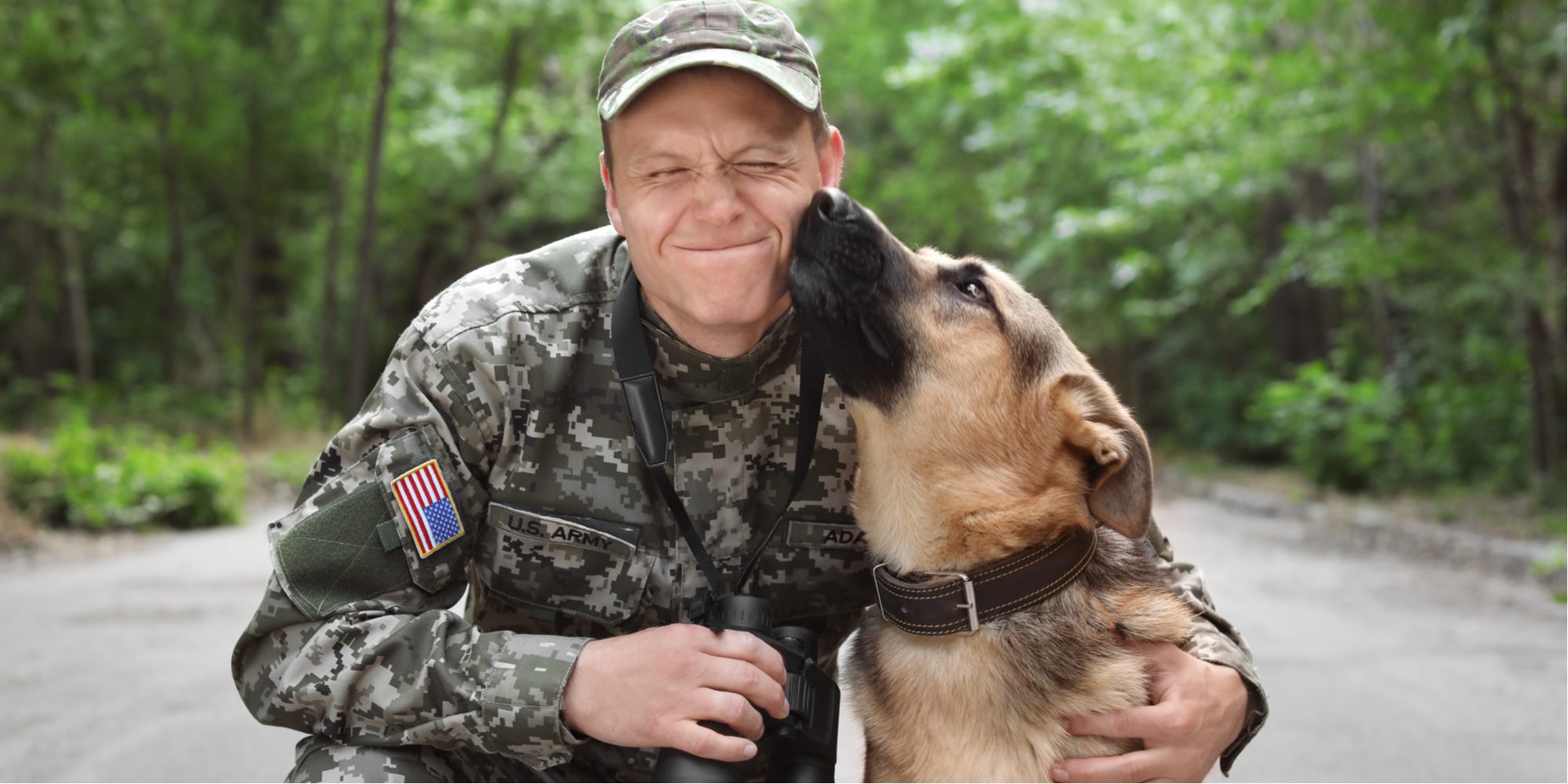 How PTSD Service Dogs Help Veterans
