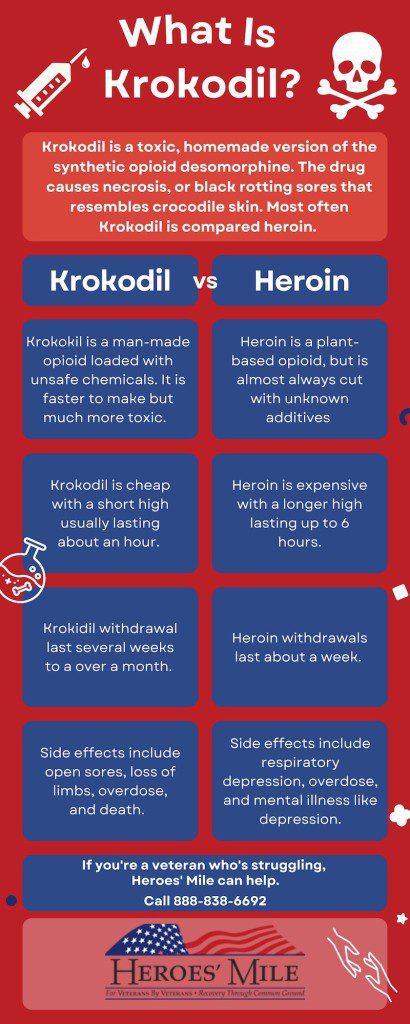 What Is Krokodil drug infographic