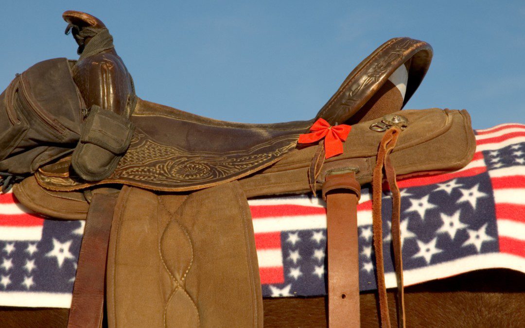 Veteran Drug Rehab with Horses