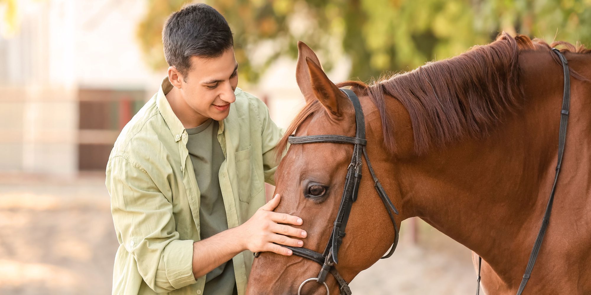 equine therapy for veterans
