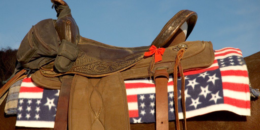 How Does Equine Therapy Help Veterans