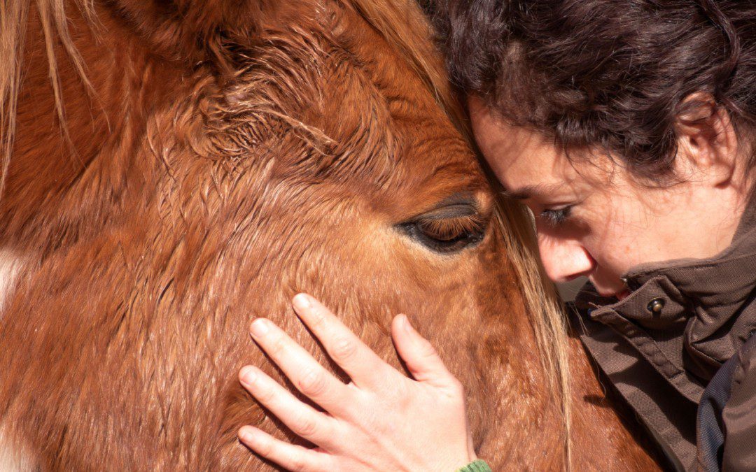 Equine Therapy Near Me
