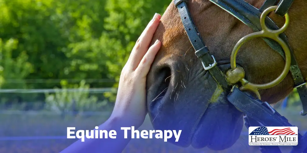 Equine Therapy