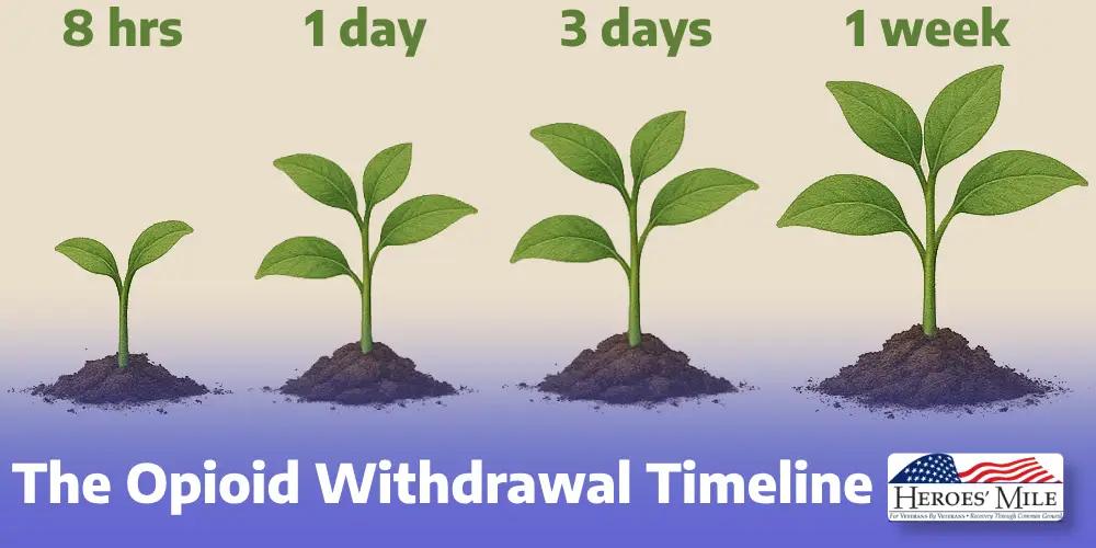 The Opioid Withdrawal Timeline Diagram